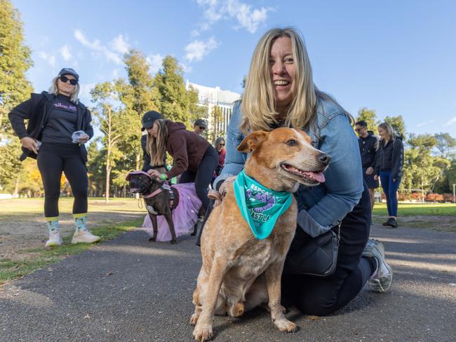 RSPCA SA's Million Paws Walk in Adelaide on May 25, 2025. Picture: Ben Clark