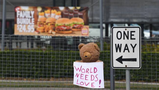 Bear hunt Gympie on the highway near Hungry Jacks