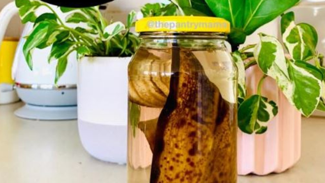 how-to-bring-a-dying-plant-back-to-life-with-just-a-banana-peel-news