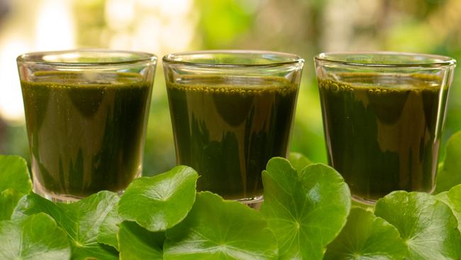 Breakfast shots at Kamalaya Koh Samui.