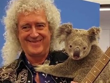 Brian May visits RSPCA Queensland's wildlife hospital. Photo: @brianmayforreal