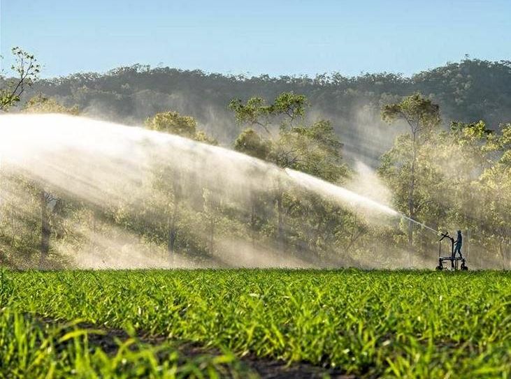 Rex Stroppiana has sold his Mackay sugar farm to Graeme Blackburn. Picture: Contributed