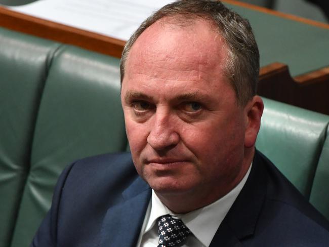 Deputy Prime Minister Barnaby Joyce cited the happiness of his daughters as an argument against gay marriage. Picture: AAP