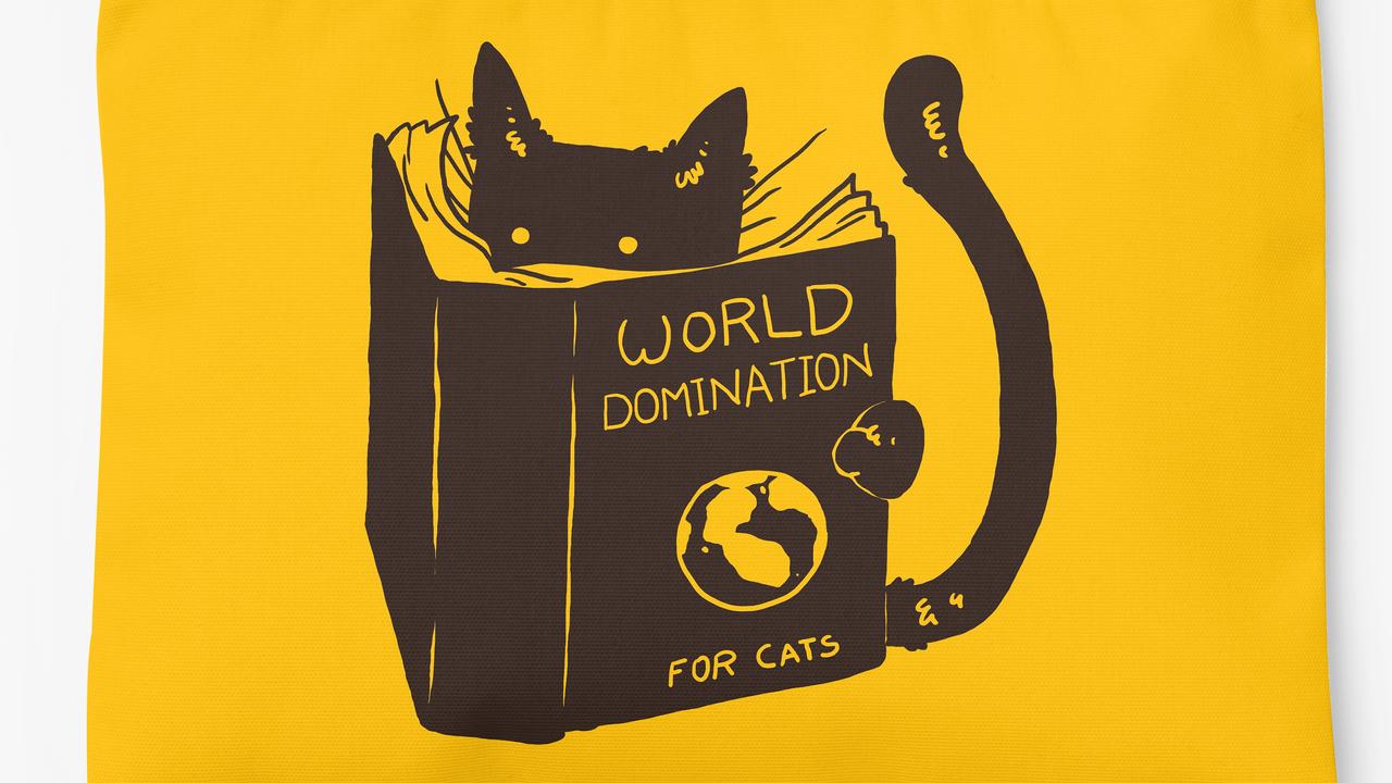 A product from the retailer – World Domination for Cats Studio Pouch. Picture: Redbubble