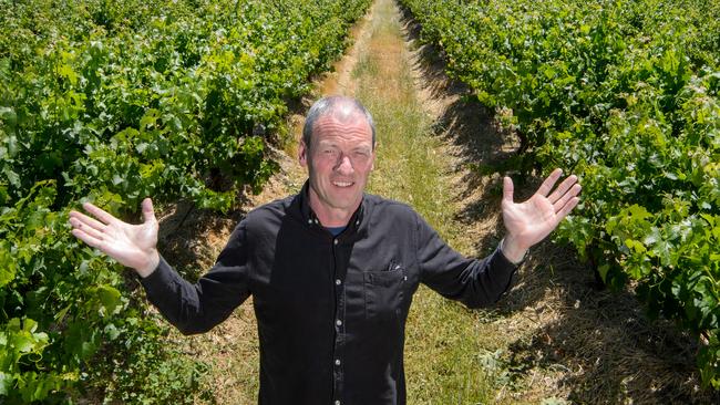 Chief Winemaker Andrew Koerner of Blue Pyrenees fears it will struggle to find the workforce it needs by Feb, to start the all important grape harvest. Picture: Jay Town