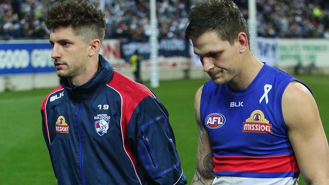 Injured Dog Tom Liberatore.