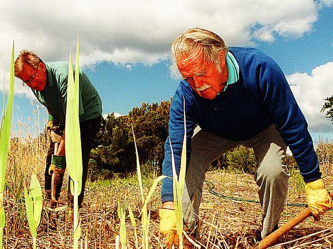 Harry Elliffe (right) and Ray Cox (left) clean up a lagoon on the northern beaches. Picture: joe Murphy