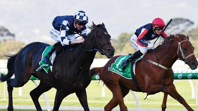 Russian Camelot defeated local hopeful Dalasan home in an enthralling SA Derby at Morphettville. Picture: David Mariuz/AAP