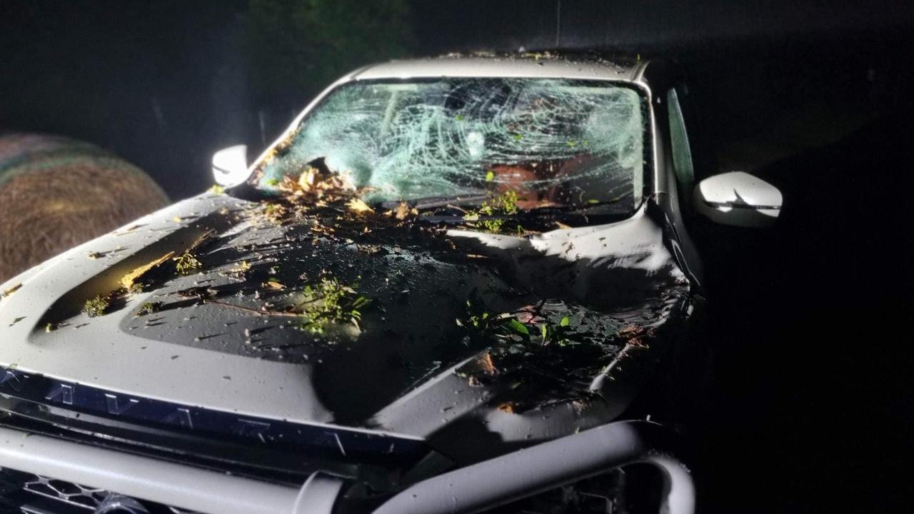 A tree smashed into the car of Chris Clarke at Dalrymple Heights on January 14, 2023. Picture: Facebook