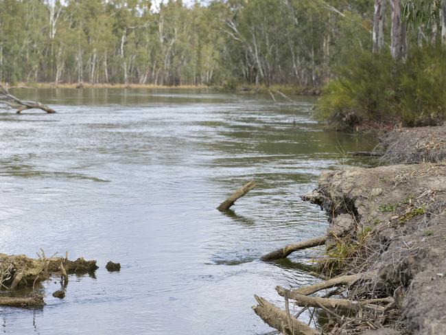 Banks of the Murray River where the water level is already near the top of the bank.Photo: DANNIKA BONSER
