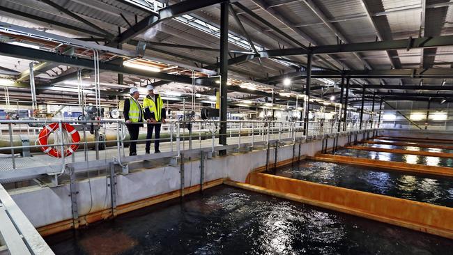 The state government is considering doubling the daily output of the Sydney Desalination Plant in Kurnell. Picture: Sam Ruttyn