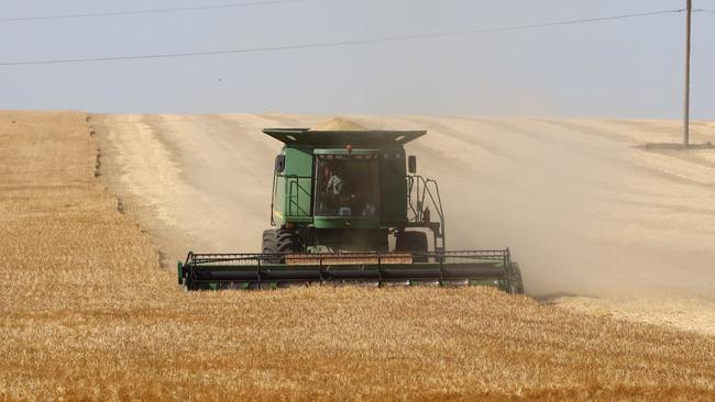 A farmer harvesting wheat near Izmail, in the Odessa region, amid the Russian invasion of Ukraine. Picture: AFP.