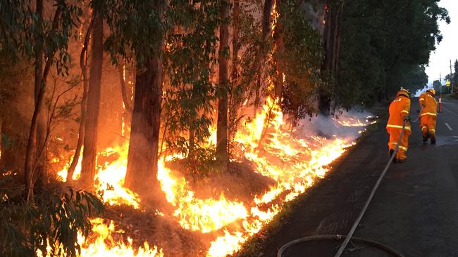 The CFA conducts a number of controlled burns each year to prepare for the fire season.