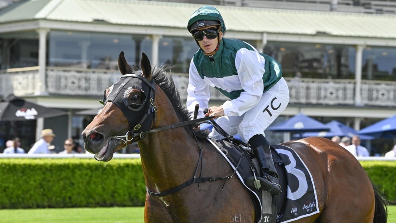 Ray Thomas’ Scone inside mail for Saturday: Import ready to peak
