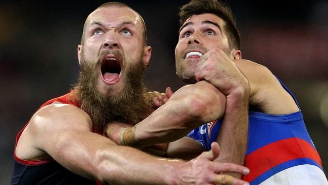 Max Gawn battles Marcus Adams in the ruck.