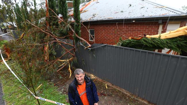 LIGHTNING STRIKE: Gary Altman’s Myrtle Bank property bore the full force of Wednesday’s wild weather when the tree exploded after being struck by lightning. Pic: Tait Schmaal