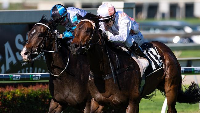 Prizemoney increases for Queensland racing will kick in from Friday. Picture: AAP