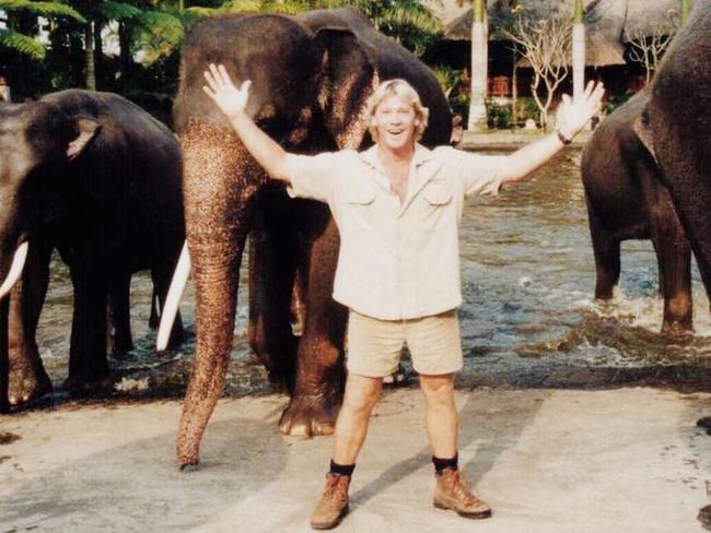 Jumbo personality … charismatic wildlife expert Steve Irwin was enormously popular.