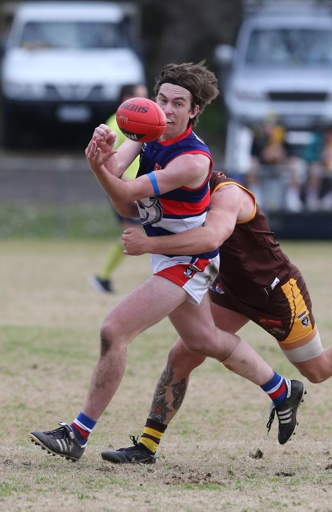 BFL: Drysdale v Queenscliff