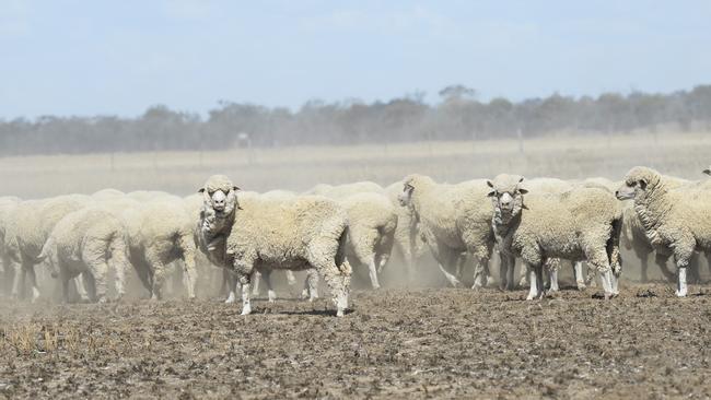 Already a struggle for some farmers, droughts are only going to make things worse.