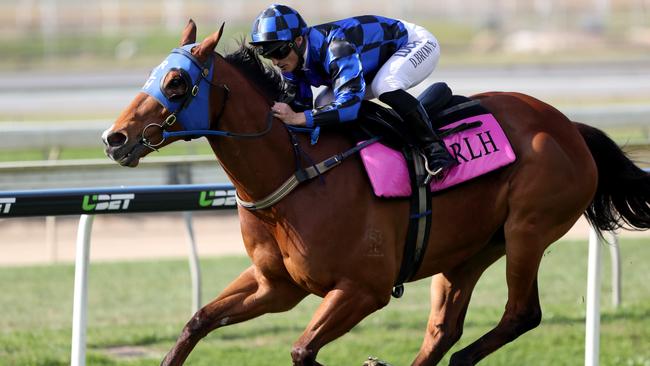 Buffering is chasing his fourth Moir Stakes at Moonee Valley on Friday night.