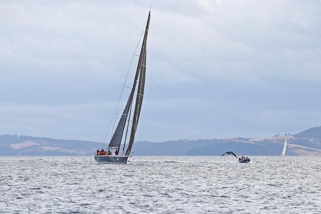 Alive claims line honours in the 2020 Launceston to Hobart yacht race. Picture: Zak Simmonds