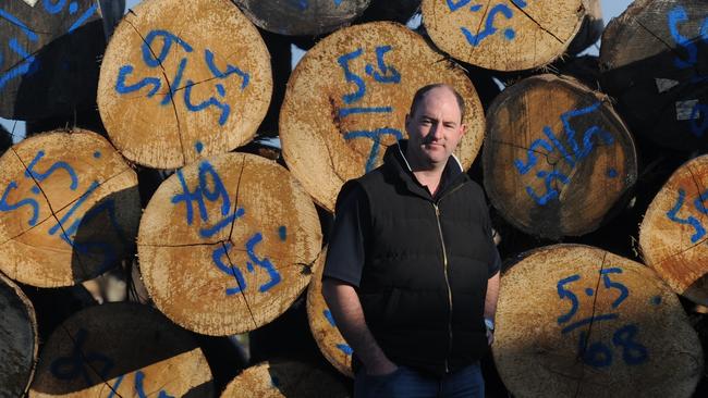 Tasmanian Timber chairman Shawn Britton. Picture: File