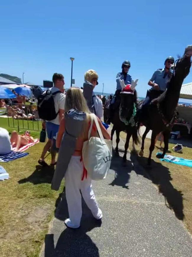 Police have been spotted patrolling the crowds on horseback, one police horse wearing a festive wreath and reindeer antlers. Image: Instagram