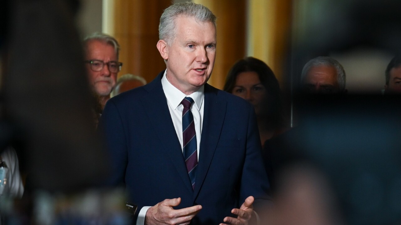 Tony Burke criticised over comments on highly profitable companies and unions