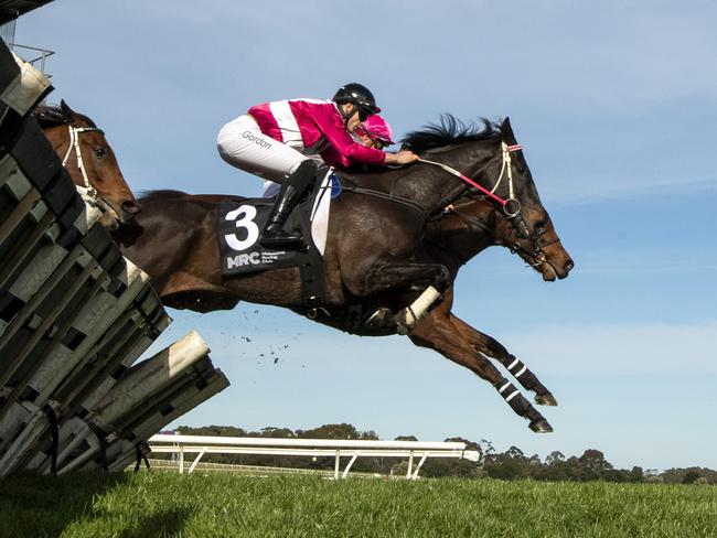 MELBOURNE, AUSTRALIA - AUGUST 04: Will Gordon riding Affluential (3) jumps second last jump before winning Race 4, the Grand National Hurdle - Betting Odds during Melbourne Racing at Sandown Racecourse on August 04, 2024 in Melbourne, Australia. (Photo by Vince Caligiuri/Getty Images)