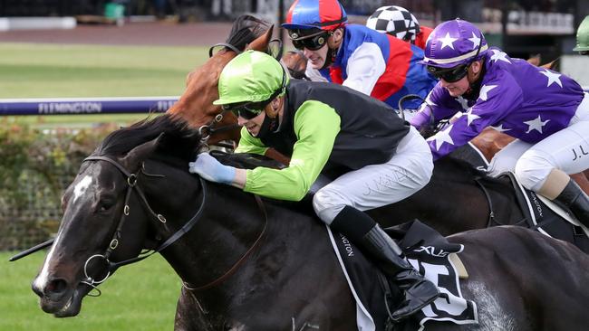 Persan, ridden by Jye McNeil, wins the The Bart Cummings to gain a start in this year’s Melbourne Cup.