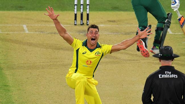 Marcus Stoinis appeals for the wicket of David Miller. Picture: Getty