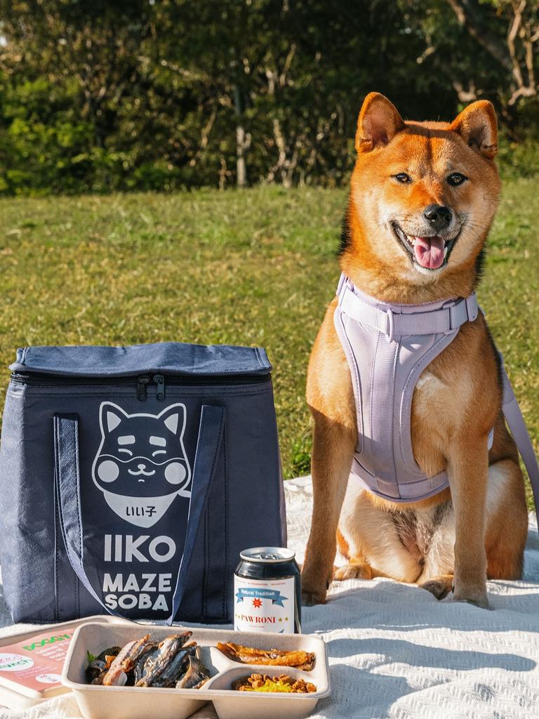 Shiba Inu Dog Stacked Round Bento Lunch Box