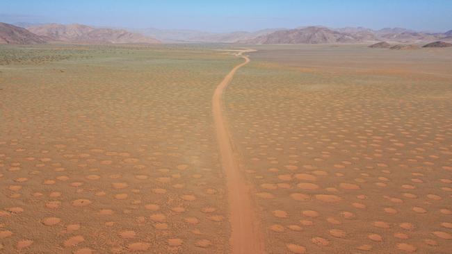 Fairy circles are patches of bare earth found in desert grass. Picture: SWNS