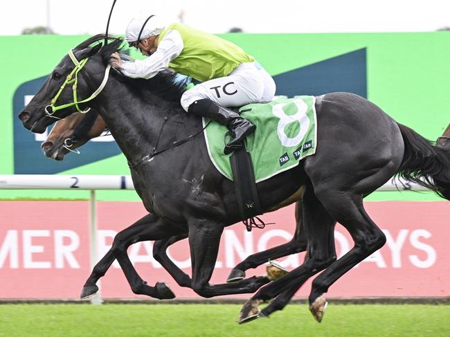 Cambar wins the TAB Highway at Rosehill Gardens on November 30, 2024. Picture: Bradley Photos