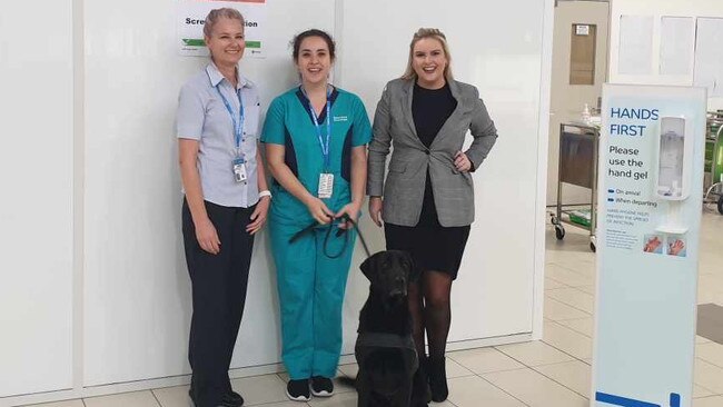 Pop-up COVID-19 station has been set up at Gold Coast Airport, pictured here is registered nurses Bec Mill and Paige Mantio, with admin officer Indi Thomas (right) and Rebel, from the ADF.