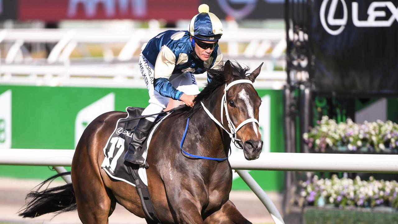 PB Lawrence Stakes: Sierra Sue To Test Out Mildura Cup Form | Gold ...