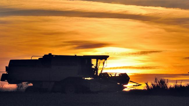 A farmer drives a harvesting machine on a field at sunset on August 16, 2011 in Godewaersvelde, northern France, during the wheat harvest. AFP PHOTO PHILIPPE HUGUEN