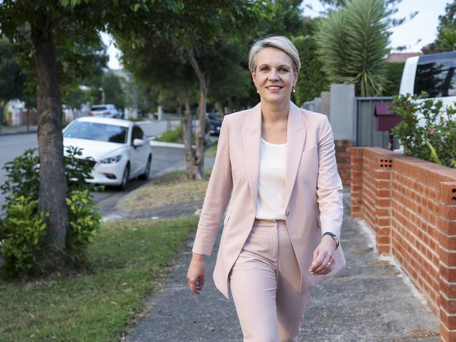 Labour deputy leader Tanya Plibersek, at home, in Rosebery. Picture: Justin Lloyd.