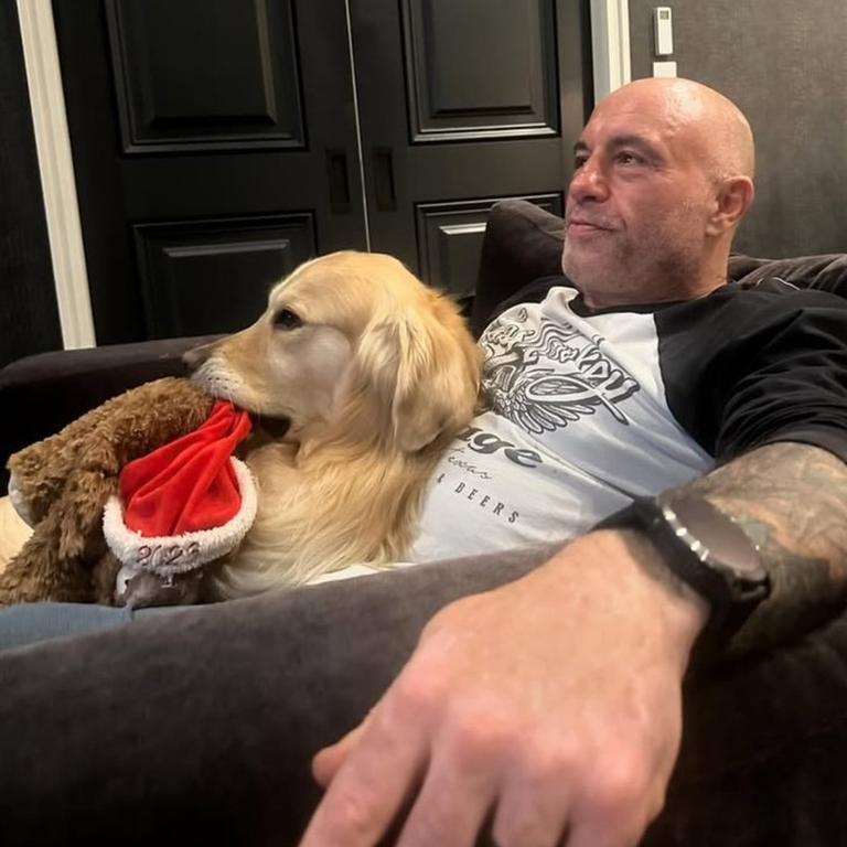 Rogan has shared just a few glimpses inside the property since moving in. Picture: Instagram/Joe Rogan