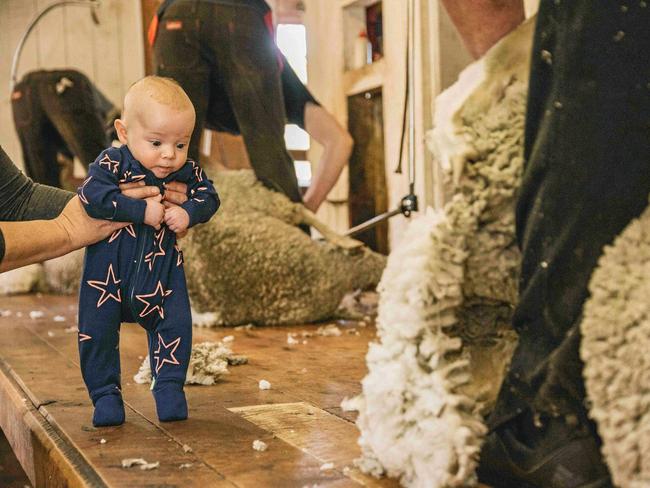 Young Travis loves being among shearing action. Picture: Chantel Renae Photography