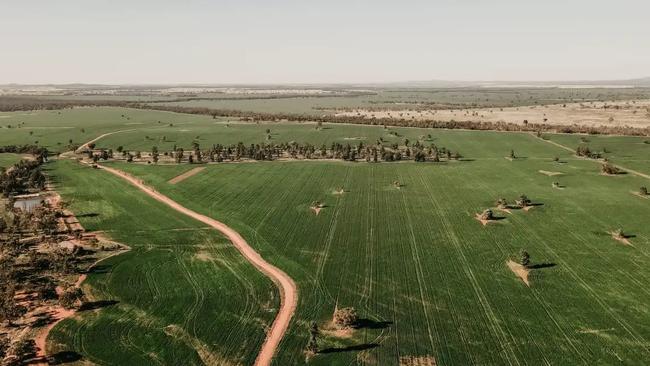 The Litchfield brothers’ Condobolin farm, Glenkerry, was passed in through auction.