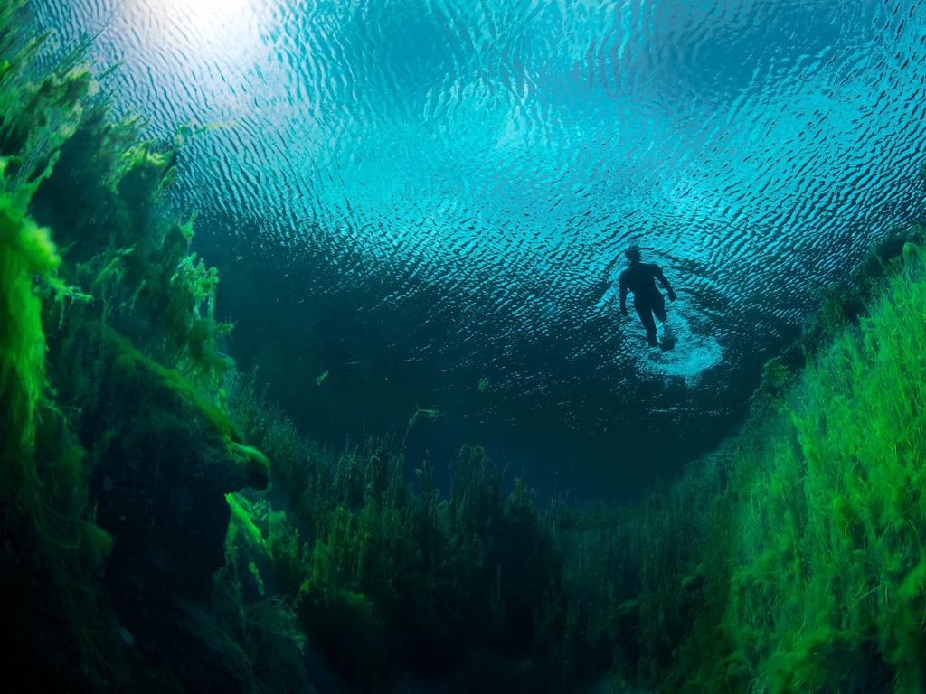 Recognised as a wetland of international importance, the Piccaninnie Ponds Conservation Park is a diver’s paradise on the Limestone Coast. Pressure forcing freshwater to the surface has created an underwater cave made up of sculpted limestone walls. Picture: Kaohanui | Shutterstock ©