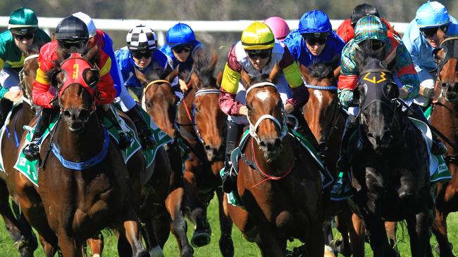 Loving home ridden by Tye Angland  (yellow cap, maroon with yellow armbands) wins race 1 during Scone  Races located in the Upper Hunter Region of NSW. The Bend . Pic Jenny Evans