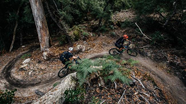 Mountain bikers take on one of the uphill sections of the Blue Derby Pods Ride. Picture: Adam Gibson