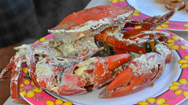 Mud crabs are sold wholesale by commercial operators for about $45 a kilogram and up to $85 in the off season. Picture: Mike Richards GLA060615HOOKM