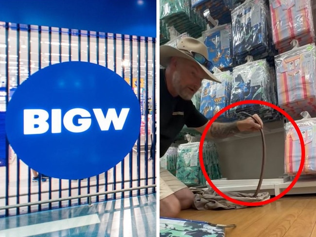 a snake was seen inside big w