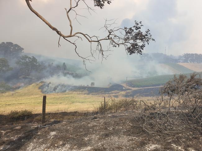 Fire has ravaged vineyards such as Vinteloper