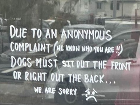 Dogs banned from cafe after single anonymous complaint