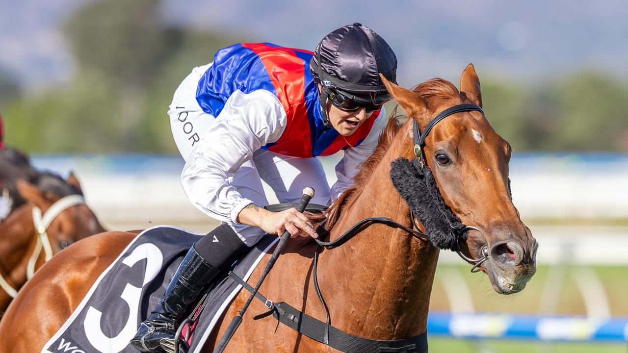 Brave Kingsford claims Port Adelaide Cup crown